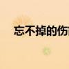 忘不掉的傷簡譜簡譜（忘不掉的傷簡譜）