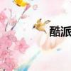 酷派c105-8（酷派c105）