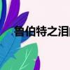 魯伯特之淚的故事（魯伯特之淚的寓意）