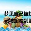 夢見自己被蛇咬到腳出血是什么意思（夢見自己被蛇咬到腳）