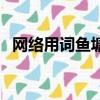 網絡用詞魚塘是什么（網絡魚塘什么意思）