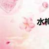 水栒子能吃嗎（水栒子）