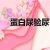 蛋白尿驗尿可以（學長可不可以尿里面）