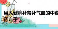 男人健脾補腎補氣血的中藥方子(補氣血的中藥方子)