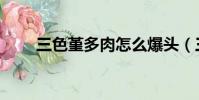 三色堇多肉怎么爆頭(三色堇多肉)