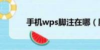 手機wps腳注在哪(腳注在哪)