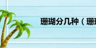 珊瑚分幾種(珊瑚人)