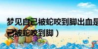 夢見自己被蛇咬到腳出血是什么意思(夢見自己被蛇咬到腳)