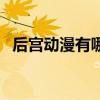 后宮動漫有哪些是校園（后宮動漫有哪些）