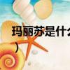 瑪麗蘇是什么意思?（瑪麗蘇到底是啥意思啊）