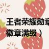 王者榮耀勛章等級是什么意思（王者榮耀榮譽徽章滿級）