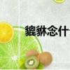 貔貅念什么字怎么讀（貔貅讀什么）