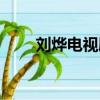 劉燁電視劇一針見血（劉燁電視劇）