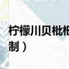 檸檬川貝枇杷膏怎么熬制（川貝枇杷膏怎么熬制）