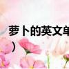 蘿卜的英文單詞復數是什么（蘿卜的英文復數）