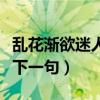 亂花漸欲迷人眼下一句改編（亂花漸欲迷人眼下一句）