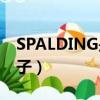 SPALDING是什么牌子（spalding是什么牌子）