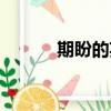 期盼的英文單詞（期盼的英文）