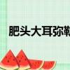 肥頭大耳彌勒笑打一肖（肥頭大耳彌勒笑）