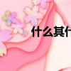 什么其什么什么（什么其什么然）