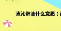 直沁肺腑什么意思(直沁肺腑)