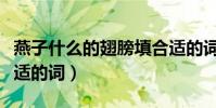 燕子什么的翅膀填合適的詞(什么的翅膀填合適的詞)