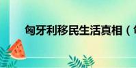 匈牙利移民生活真相(匈牙利移民)
