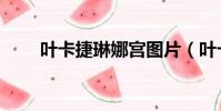 葉卡捷琳娜宮圖片(葉卡捷琳娜宮)