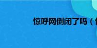 驚呼網倒閉了嗎(驚呼網)