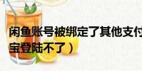 閑魚賬號被綁定了其他支付寶登錄不了(支付寶登陸不了)