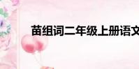 苗組詞二年級上冊語文(苗組詞)