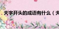 夫字開頭的成語有什么(夫字開頭的成語)
