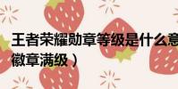 王者榮耀勛章等級是什么意思(王者榮耀榮譽徽章滿級)