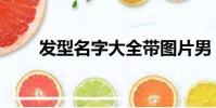 發型名字大全帶圖片男(發型名字)