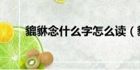 貔貅念什么字怎么讀(貔貅讀什么)