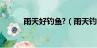 雨天好釣魚?(雨天釣魚好釣嗎)