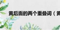 黃后面的兩個重疊詞(黃什么重疊詞)