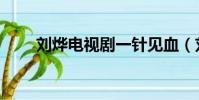 劉燁電視劇一針見血(劉燁電視劇)