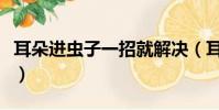 耳朵進蟲子一招就解決(耳朵進蟲子能活多久)
