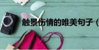 觸景傷情的唯美句子(觸景傷情)