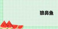 狼鼻魚