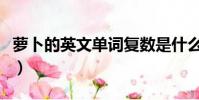 蘿卜的英文單詞復數是什么(蘿卜的英文復數)
