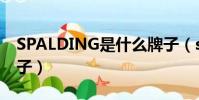 SPALDING是什么牌子(spalding是什么牌子)