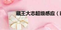 藏王大志超級感應(藏王大志)