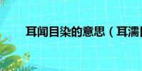 耳聞目染的意思(耳濡目染的意思)
