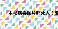 木馬病毒圖片嚇死人(熊貓燒香病毒)