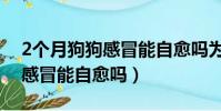 2個月狗狗感冒能自愈嗎為什么(2個月狗狗感冒能自愈嗎)