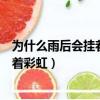 為什么雨后會掛著彩虹?答案短的是什么?（為什么雨后會掛著彩虹）