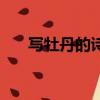 寫牡丹的詩句有哪些（寫牡丹的詩句）