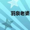 羽泉老婆白百何照片（羽泉的老婆）